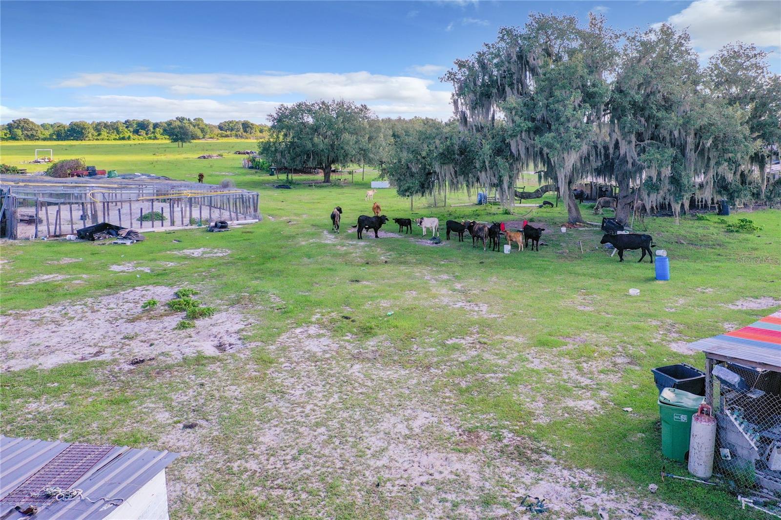 SAND DOLLAR ST, LAKE WALES, FL, 33859