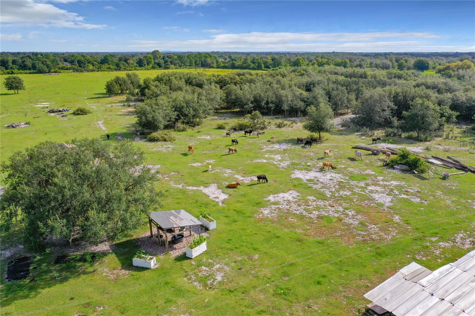 SAND DOLLAR ST, LAKE WALES, FL, 33859