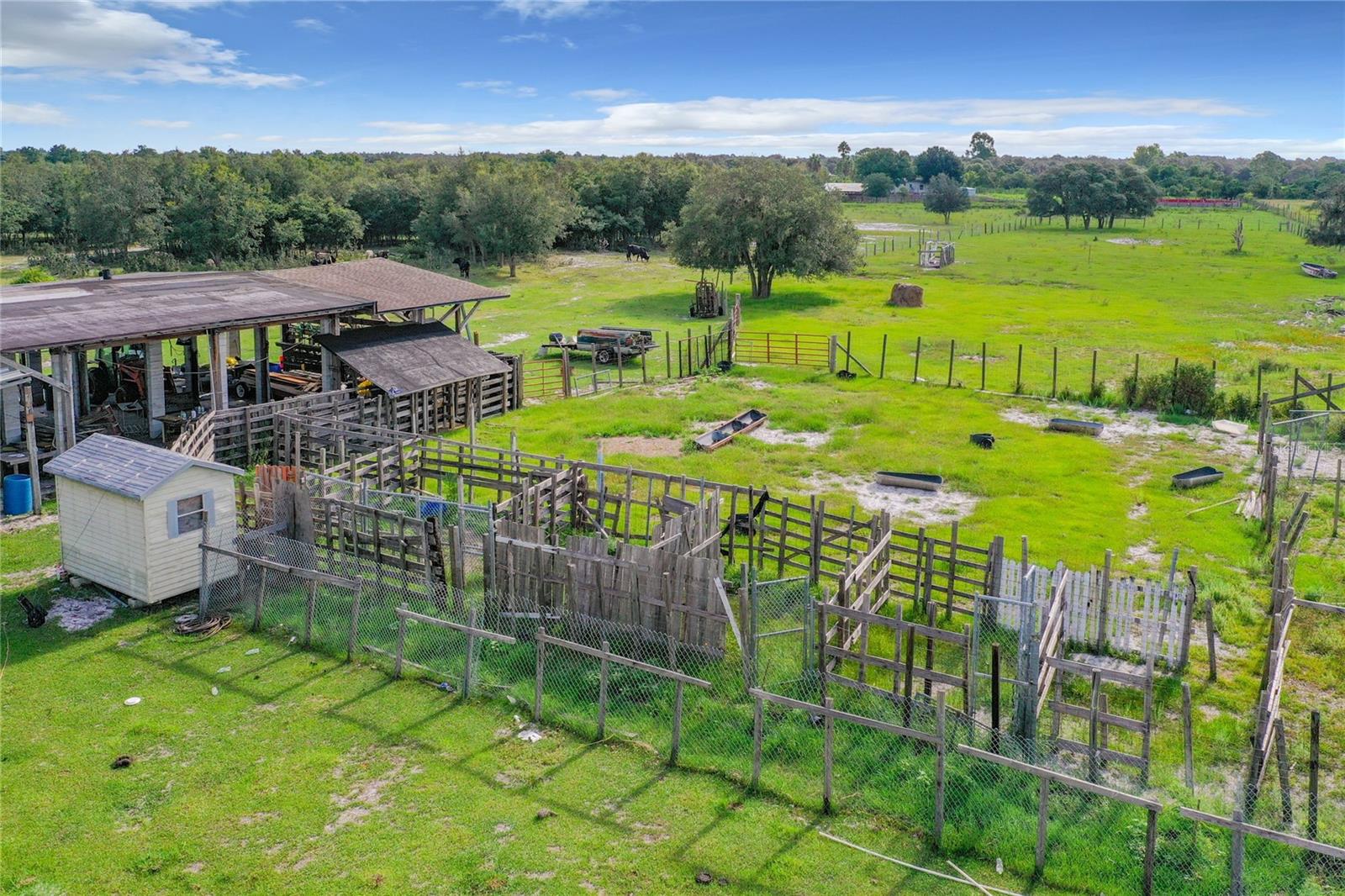 SAND DOLLAR ST, LAKE WALES, FL, 33859