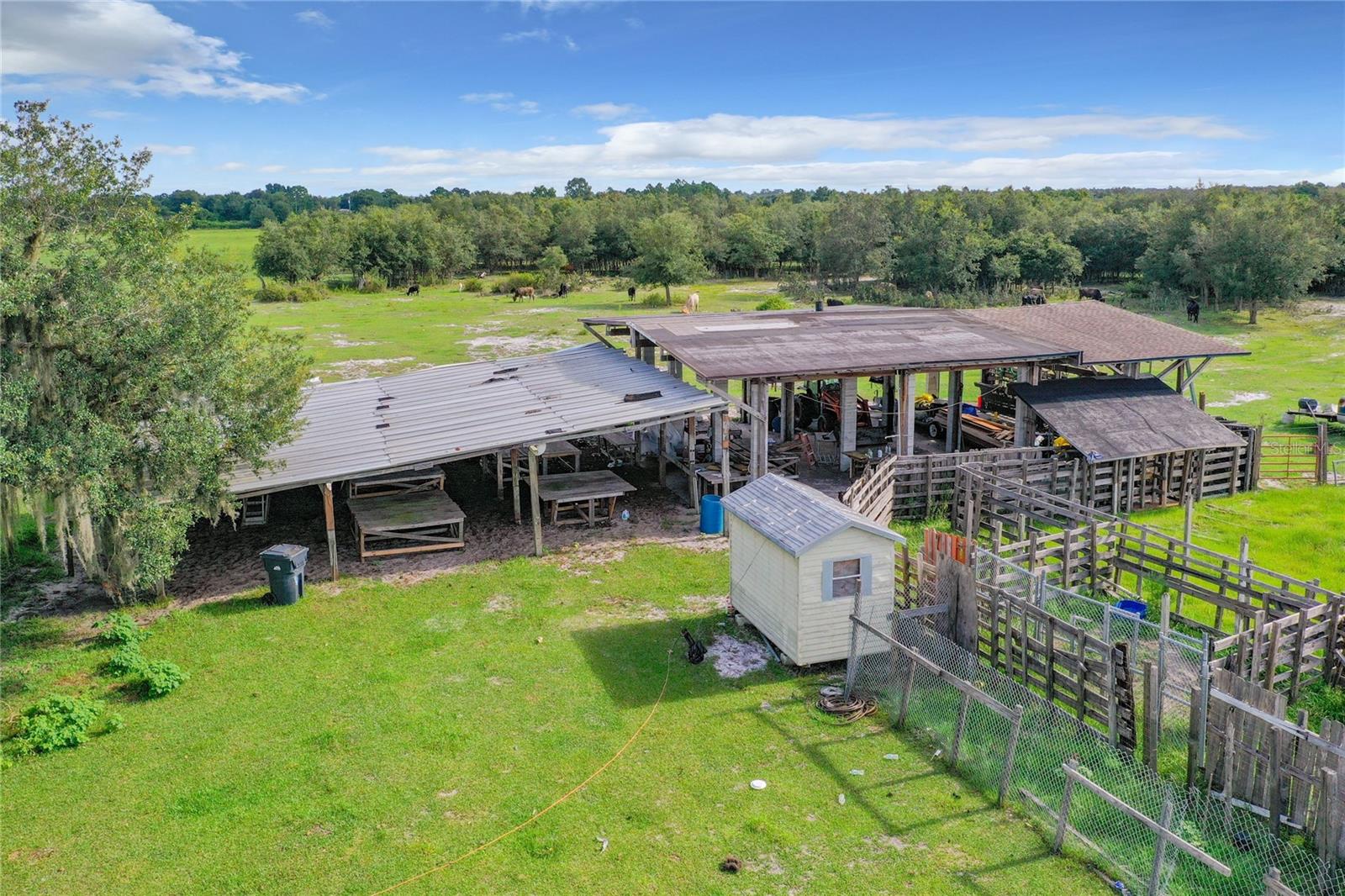 SAND DOLLAR ST, LAKE WALES, FL, 33859