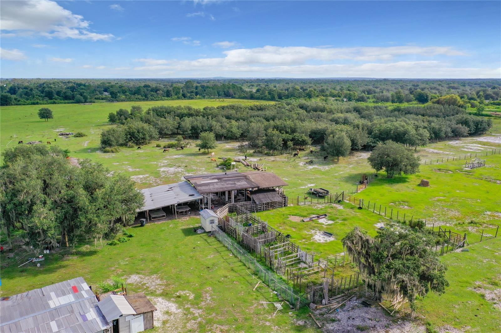 SAND DOLLAR ST, LAKE WALES, FL, 33859