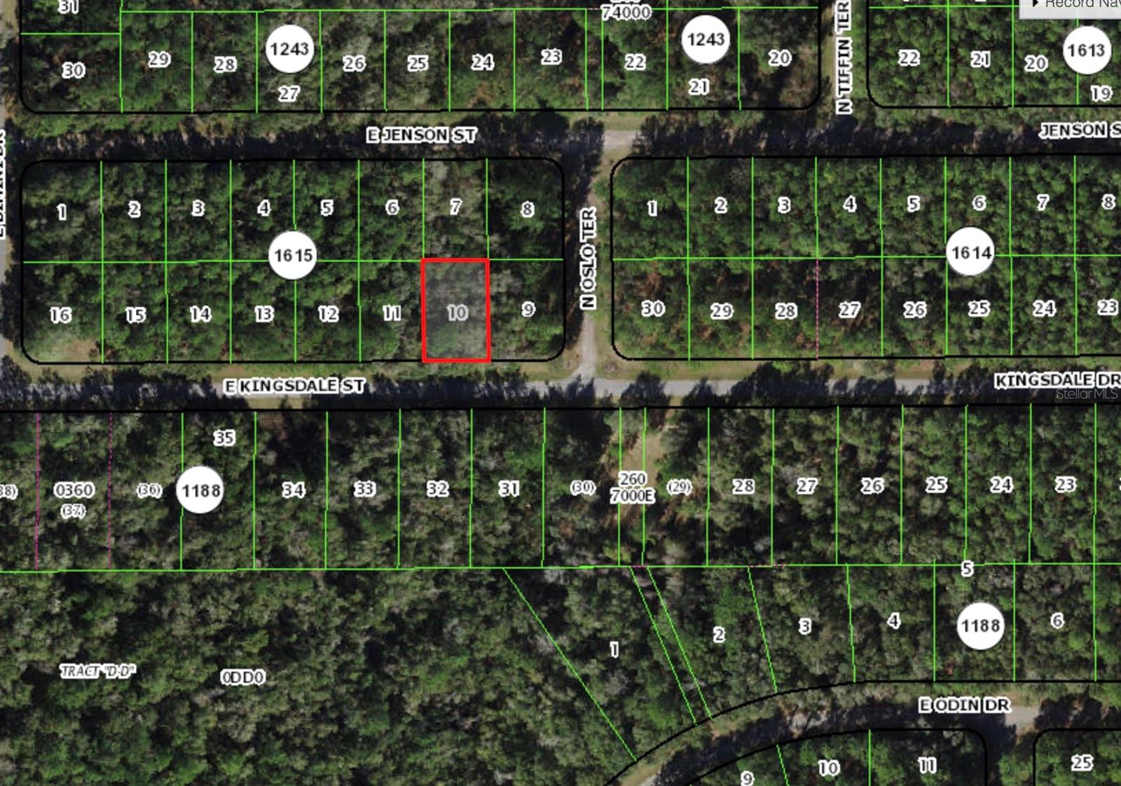 925 E KINGSDALE ST, CITRUS SPRINGS, FL, 34434