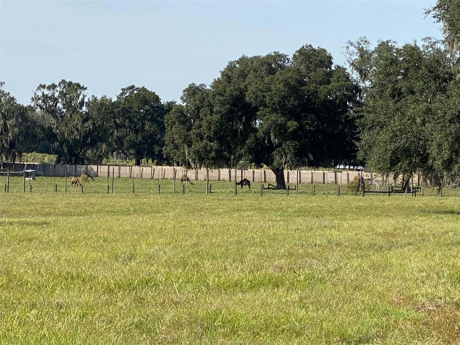 OM629721 Property Photo