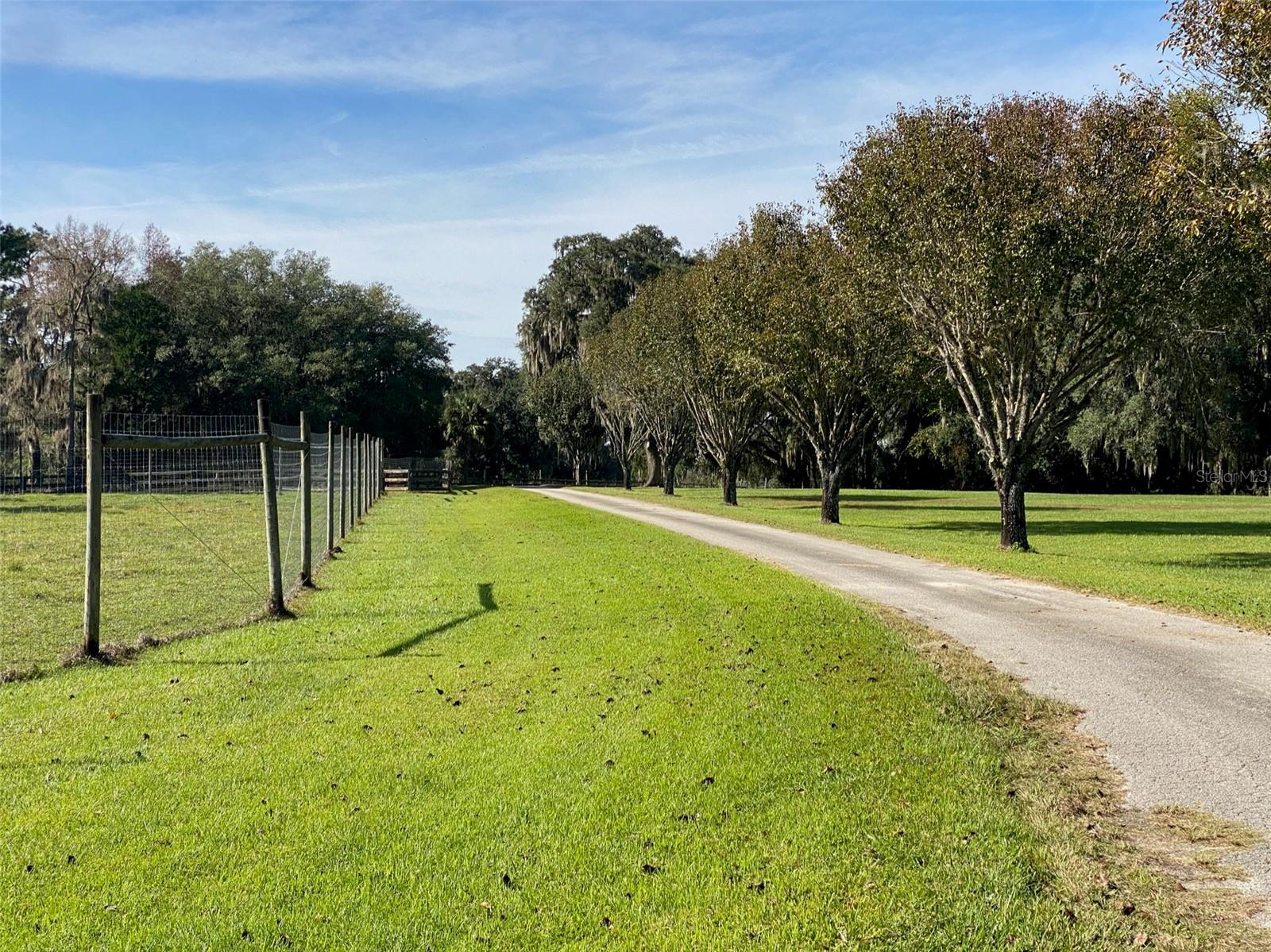 OM629721 Property Photo