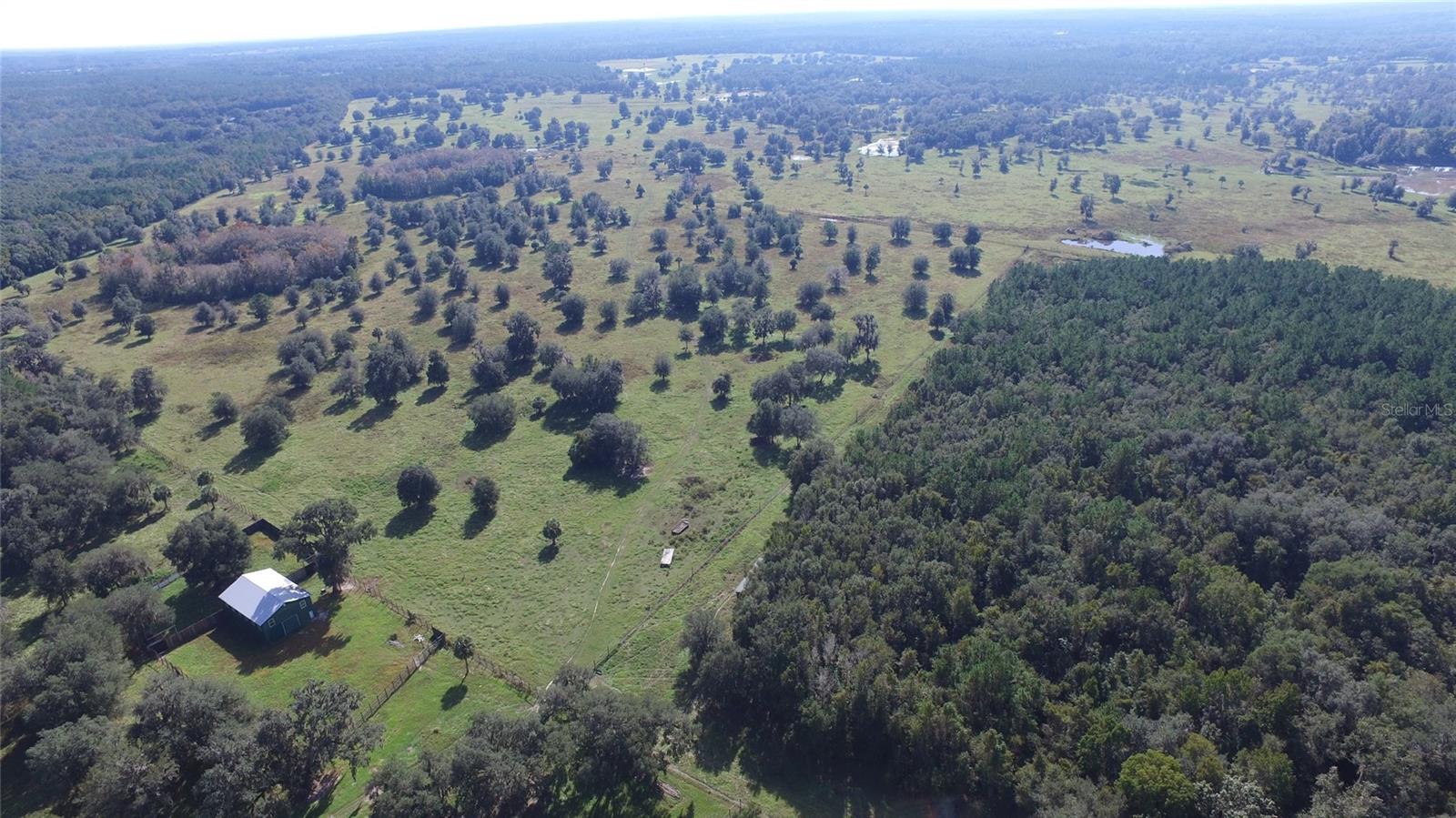 OM629721 Property Photo