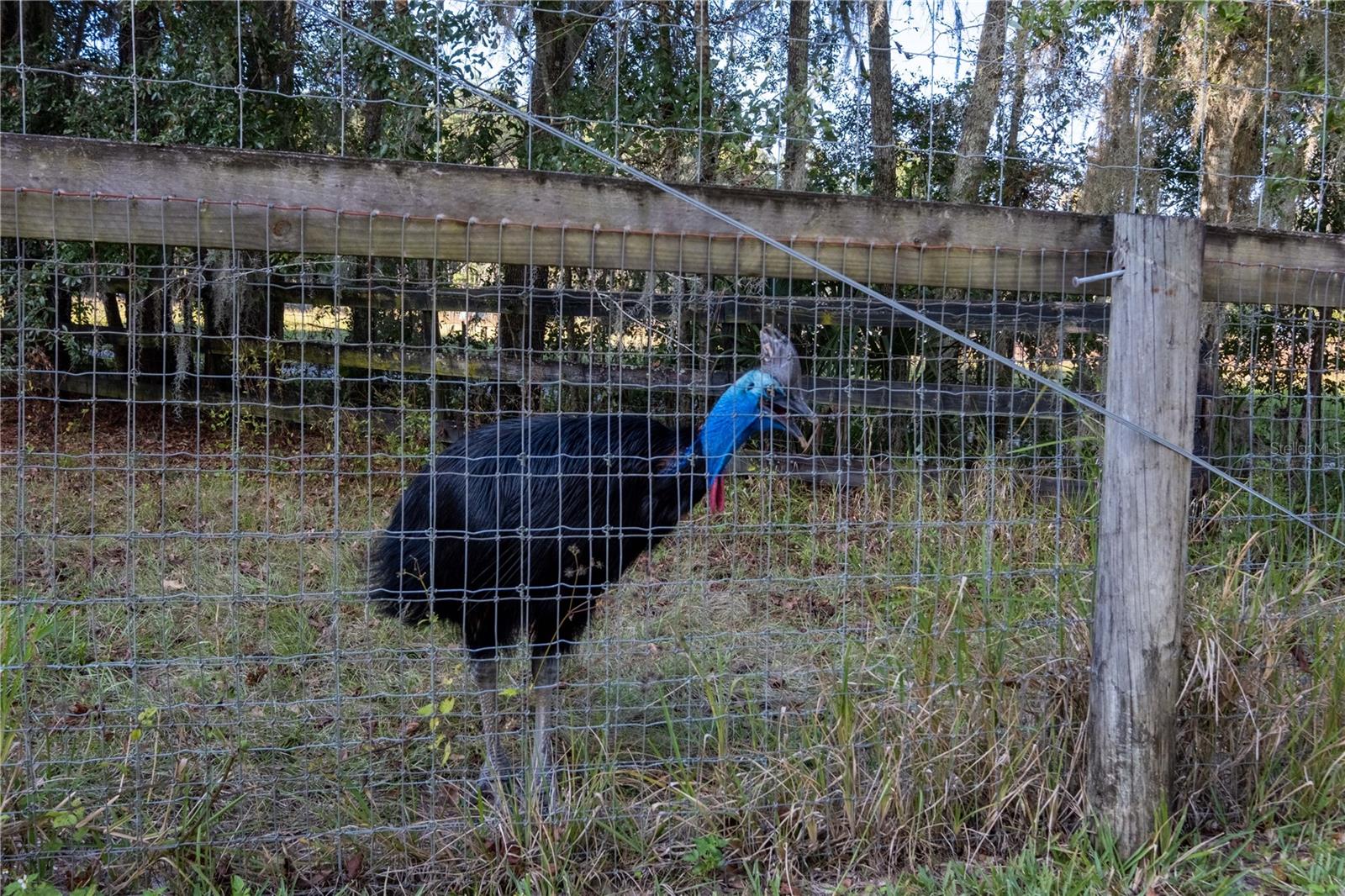 OM629721 Property Photo