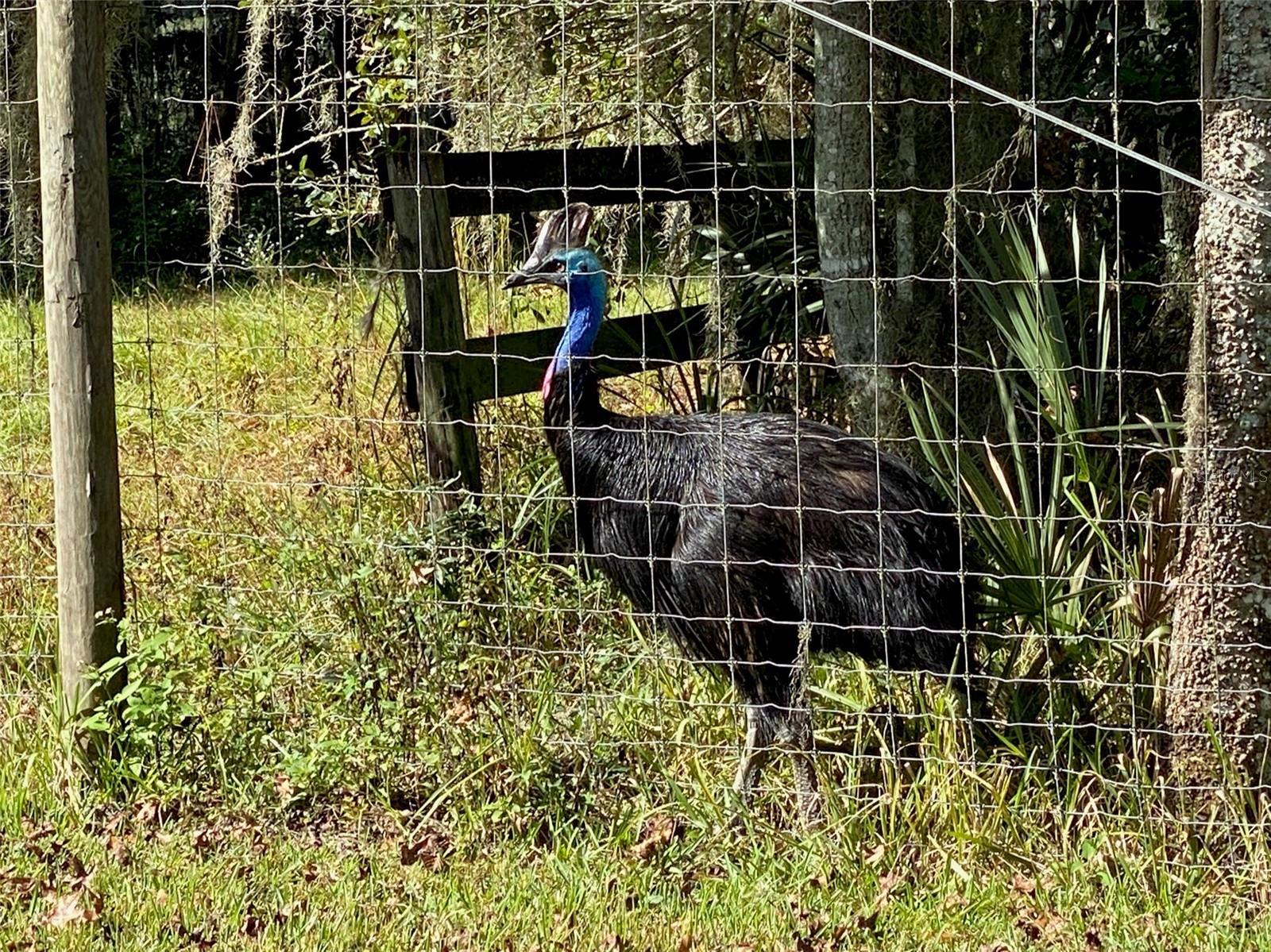 OM629721 Property Photo