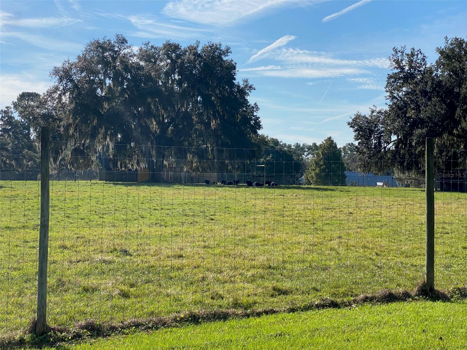 OM629721 Property Photo