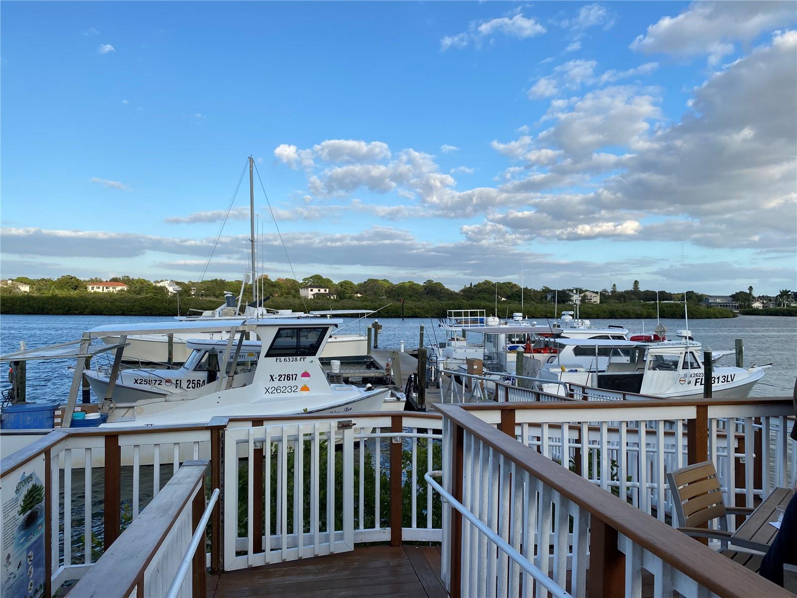 WHISPERING PINES DR, INDIAN SHORES, FL, 33785