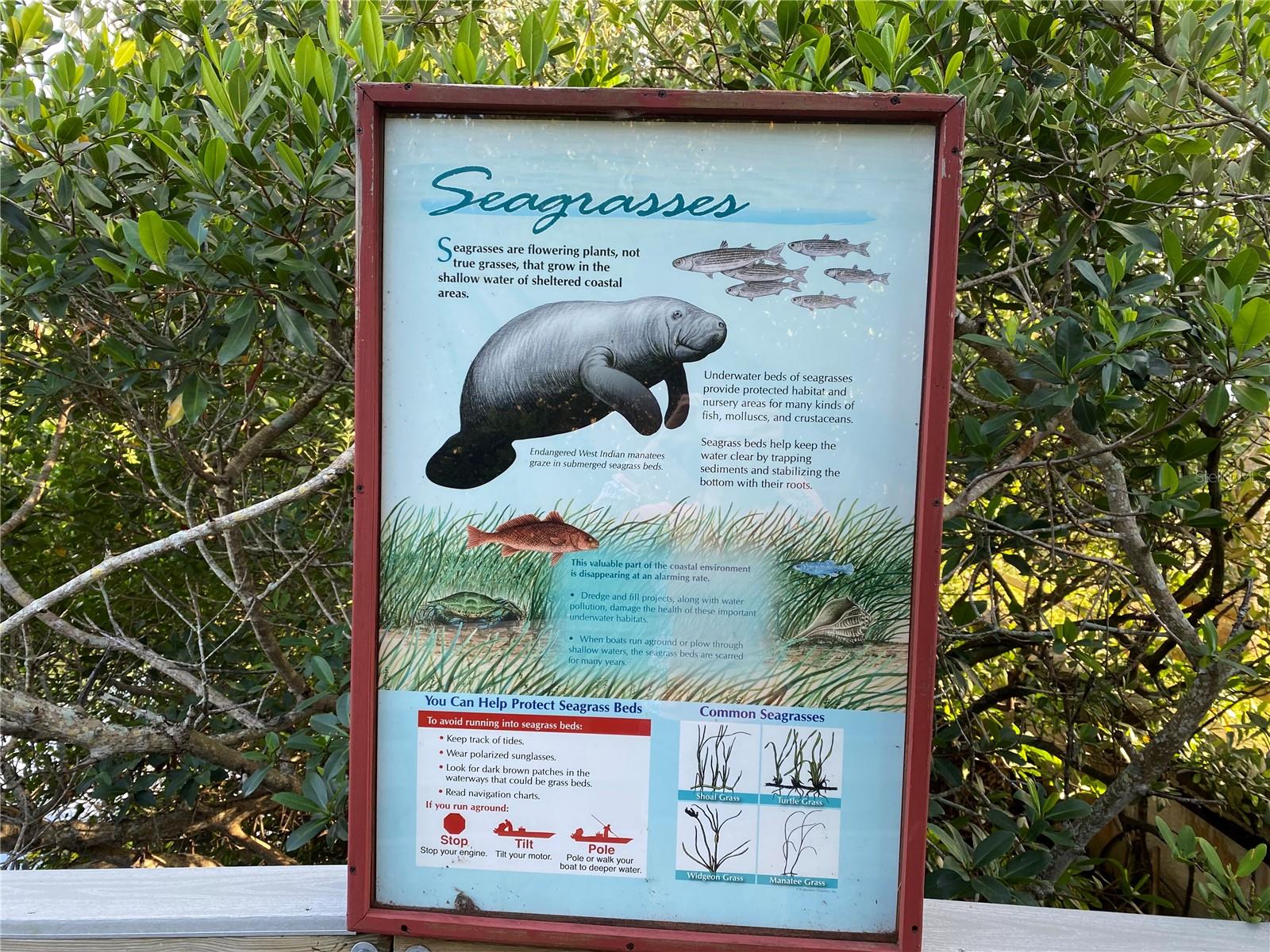 WHISPERING PINES DR, INDIAN SHORES, FL, 33785