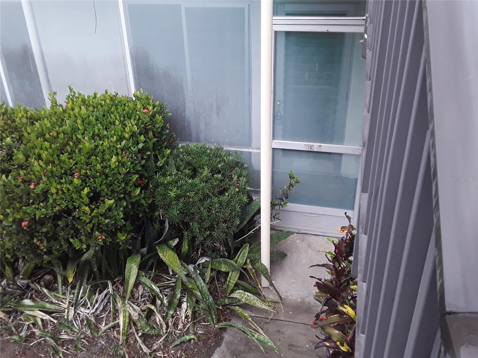 5380 4TH ST N #203, ST PETERSBURG, FL, 33703