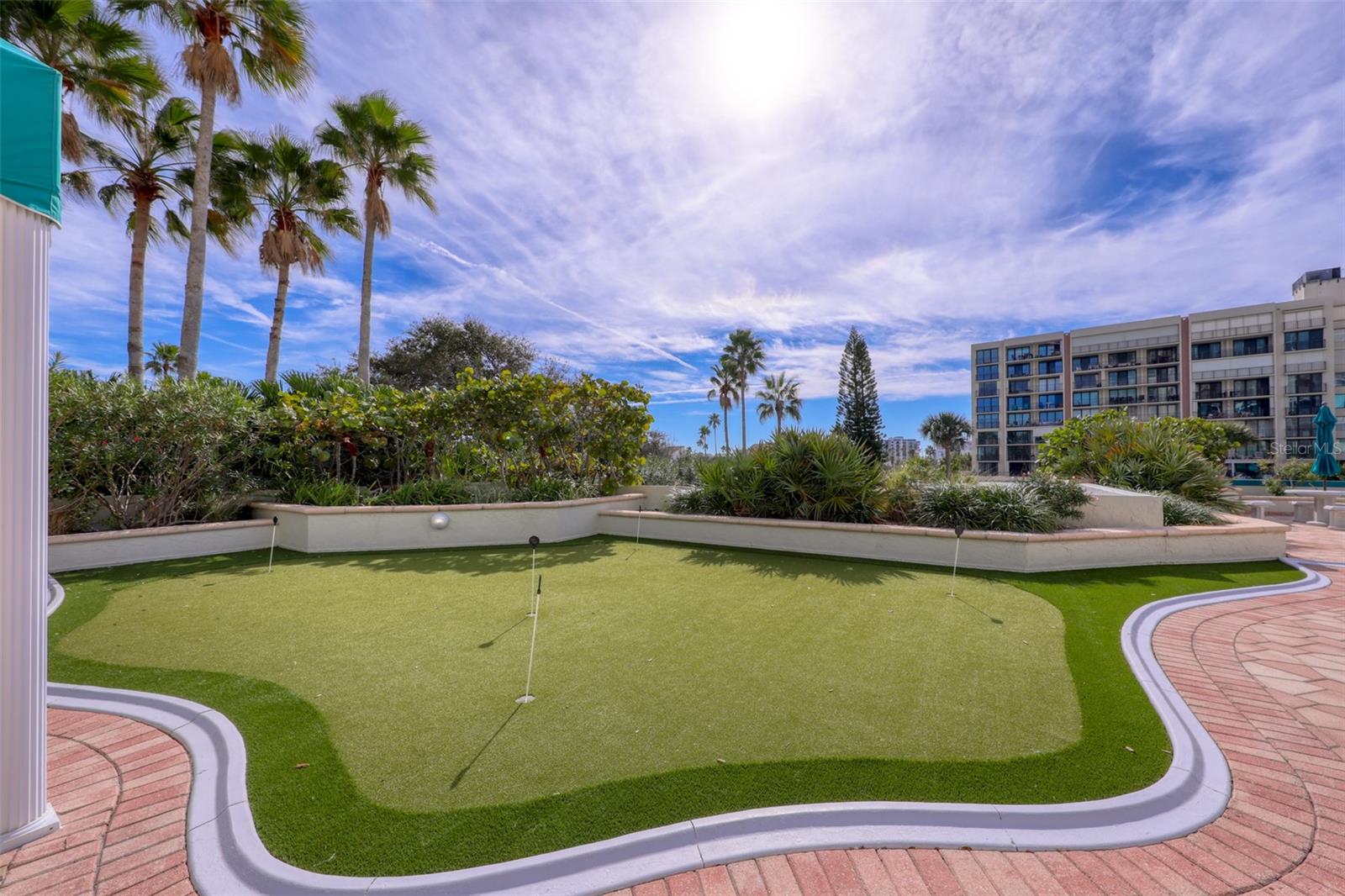 1380 GULF BLVD #806, CLEARWATER, FL, 33767