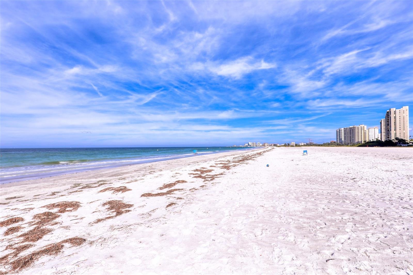 1380 GULF BLVD #806, CLEARWATER, FL, 33767