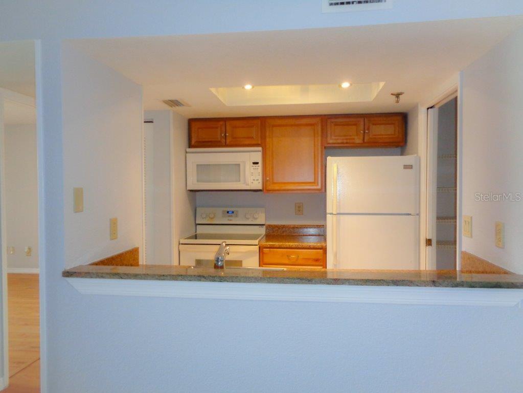 10265 GANDY BLVD N #1502, ST PETERSBURG, FL, 33702