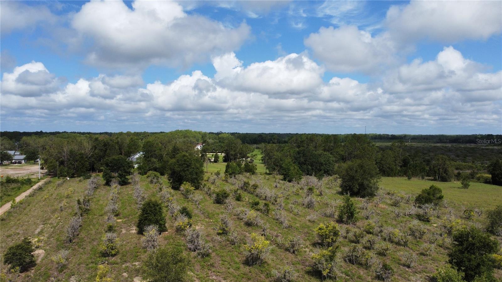 8705 TURKEY OAK LN, CLERMONT, FL, 34714