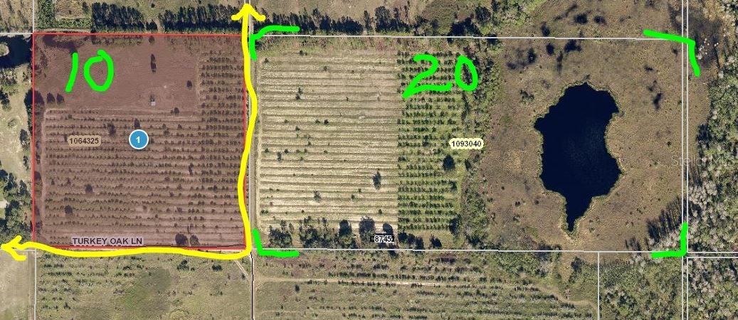 8705 TURKEY OAK LN, CLERMONT, FL, 34714