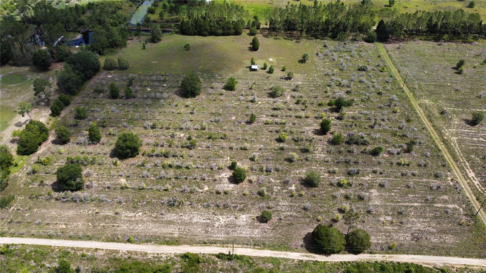8705 TURKEY OAK LN, CLERMONT, FL, 34714