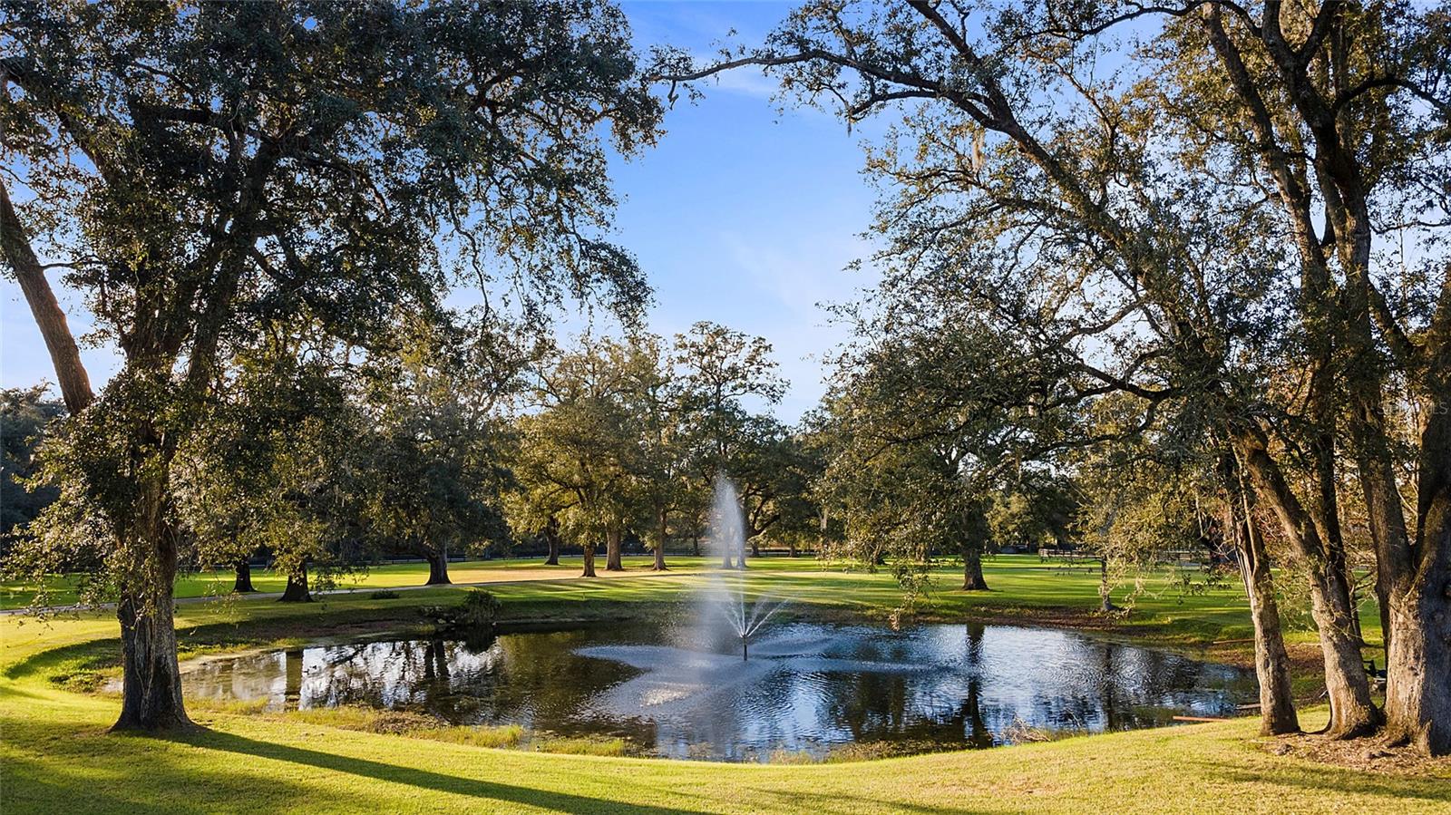 OM632474 Property Photo