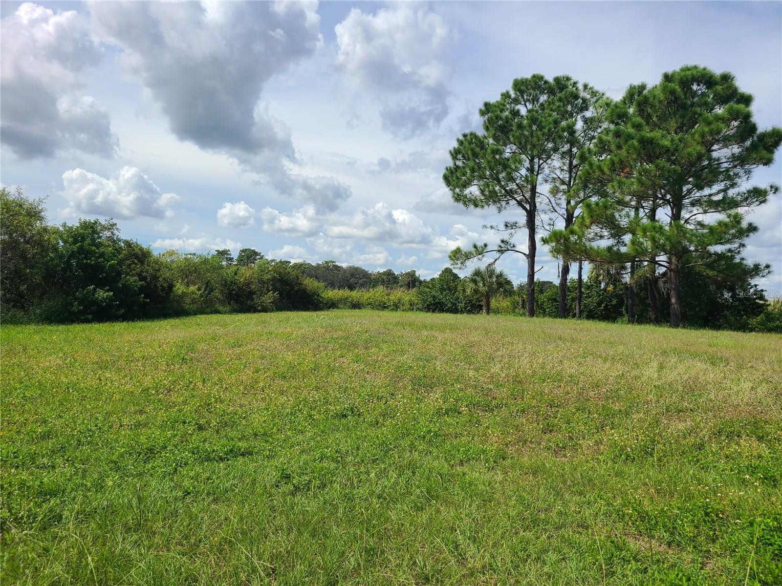 0 R. REAGAN PARKWAY, DAVENPORT, FL, 33896