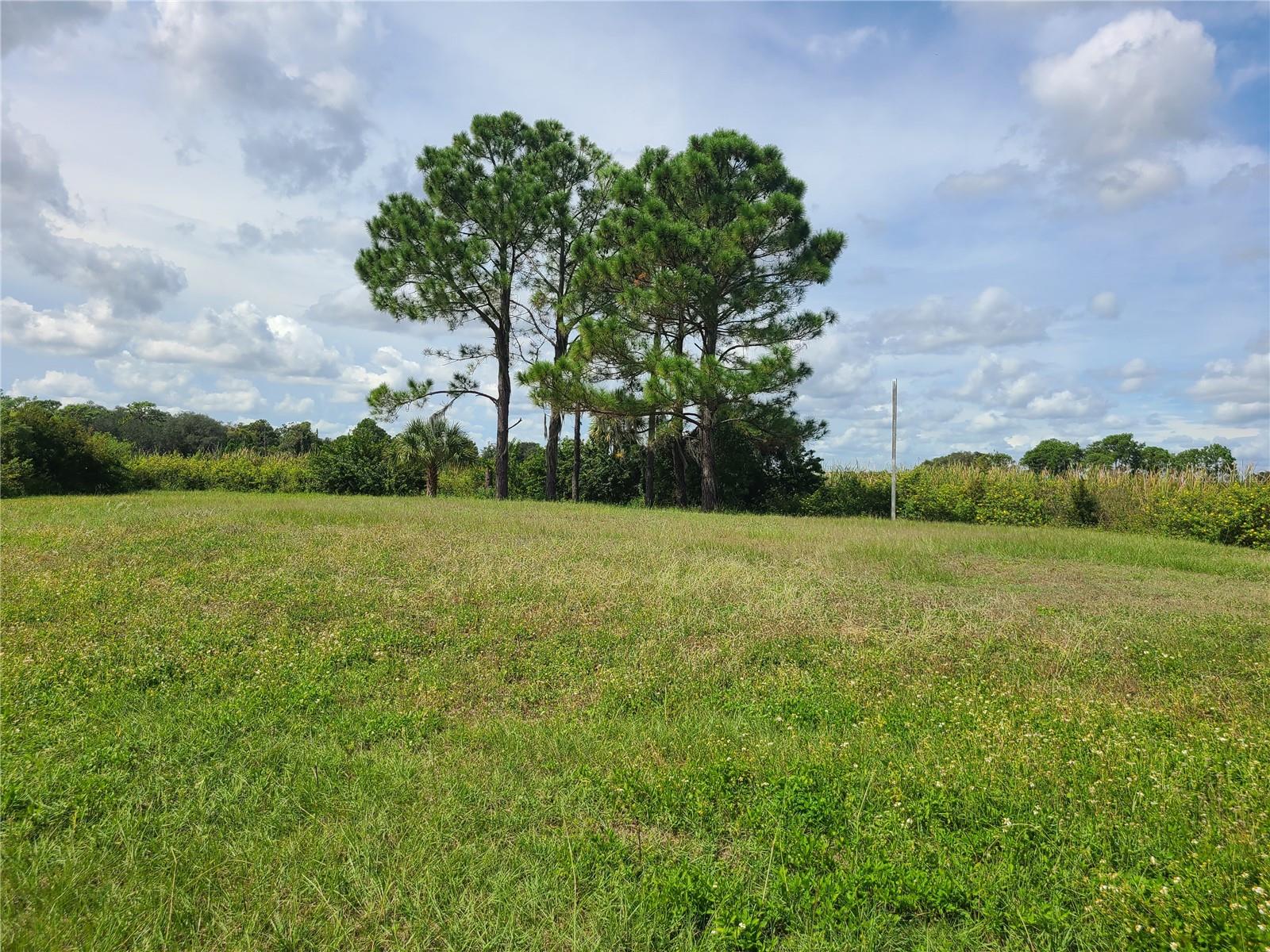 0 R. REAGAN PARKWAY, DAVENPORT, FL, 33896