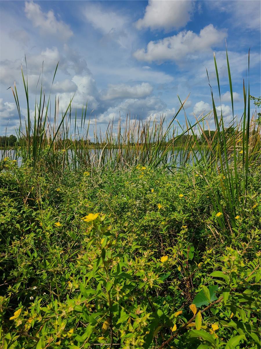 0 R. REAGAN PARKWAY, DAVENPORT, FL, 33896