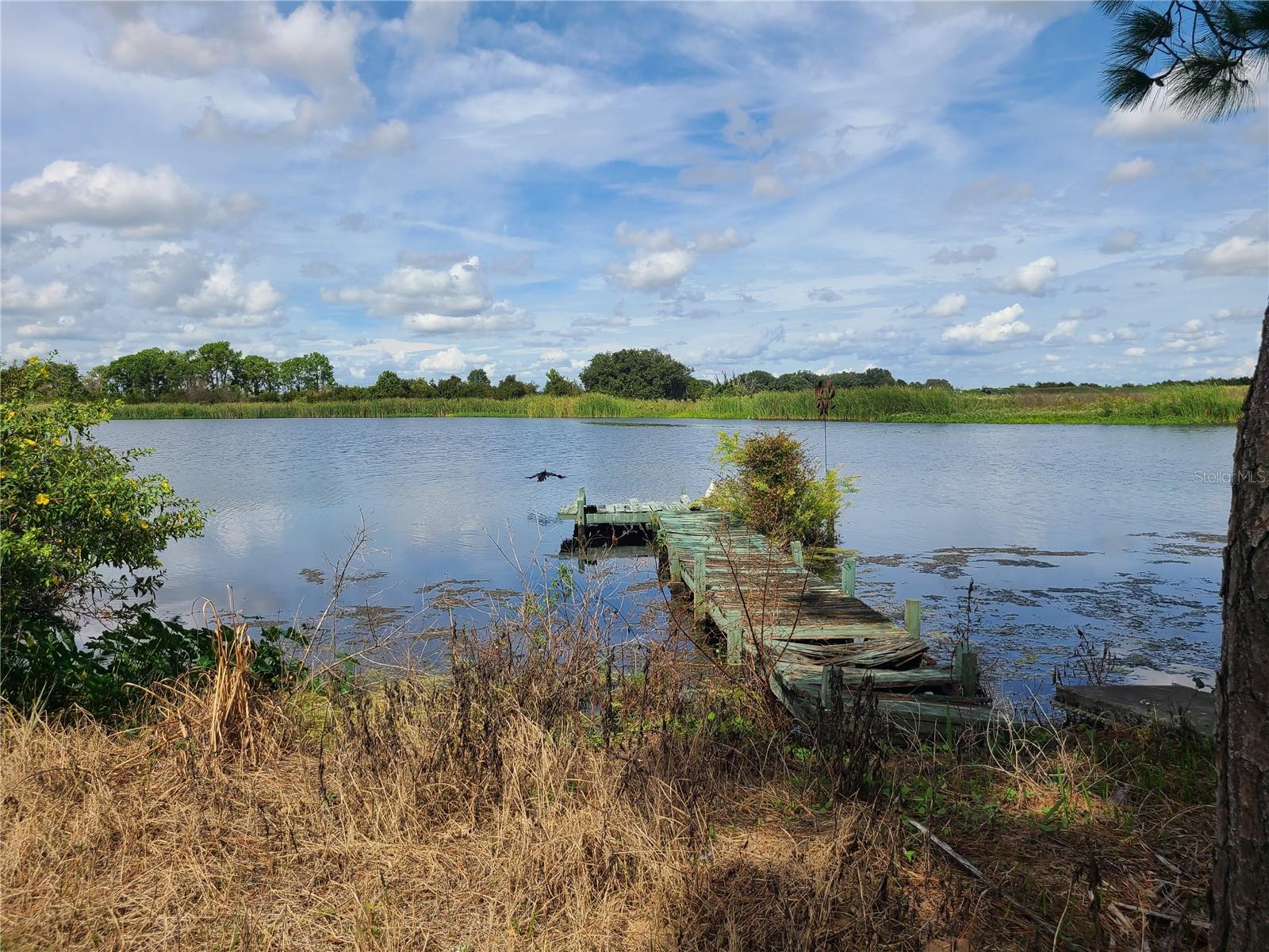 0 R. REAGAN PARKWAY, DAVENPORT, FL, 33896