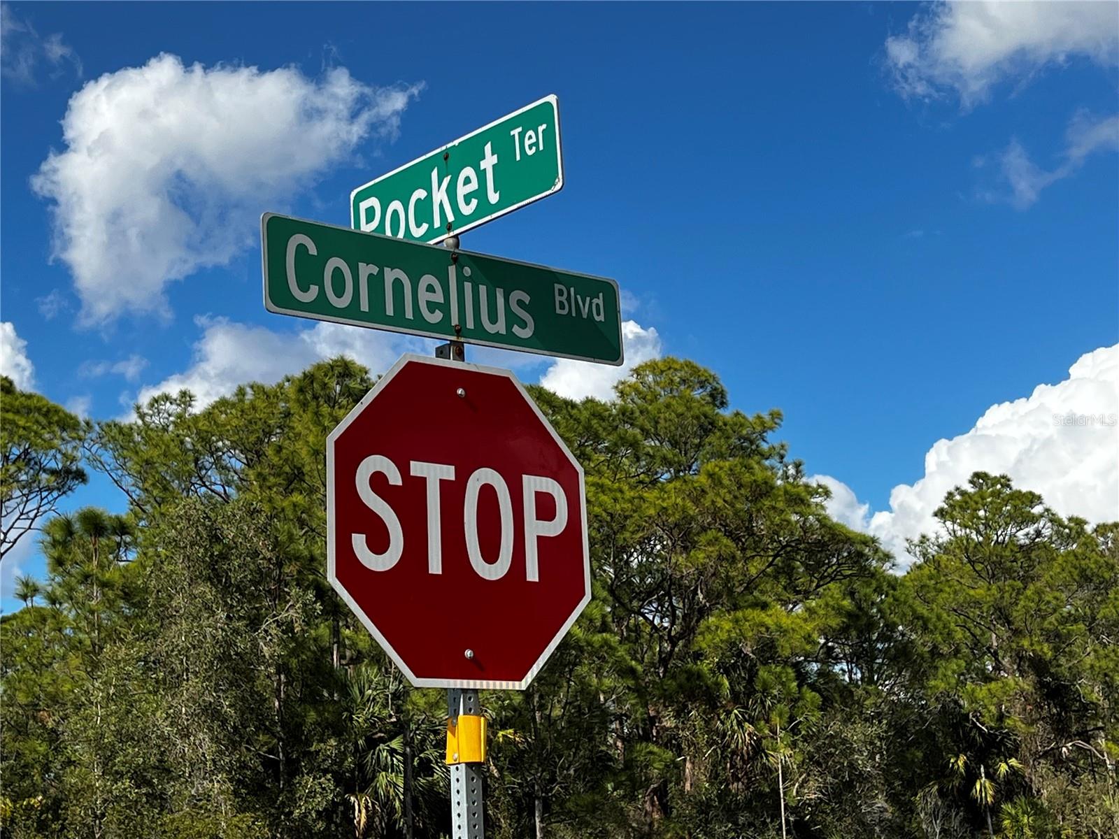 1347 POCKET TER, PORT CHARLOTTE, FL, 33953