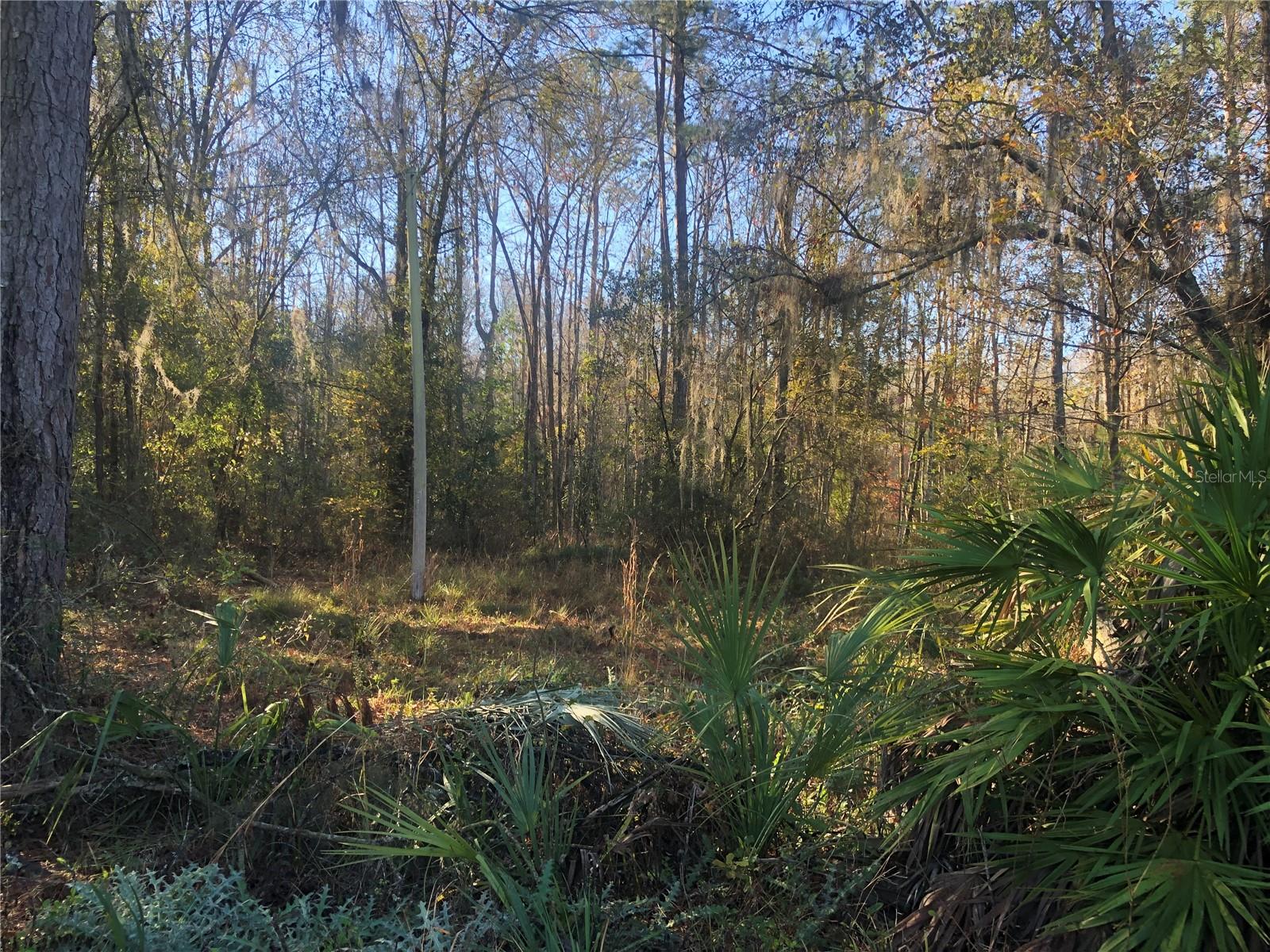 NW 33RD AVE, GAINESVILLE, FL, 32606