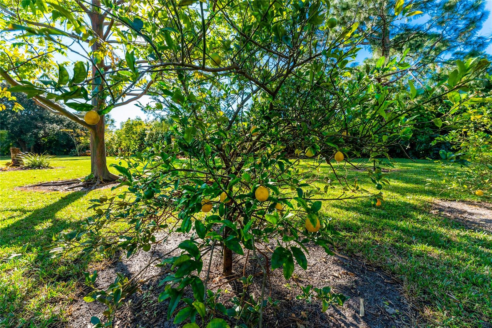 25271 ROLAND LN, PUNTA GORDA, FL, 33955