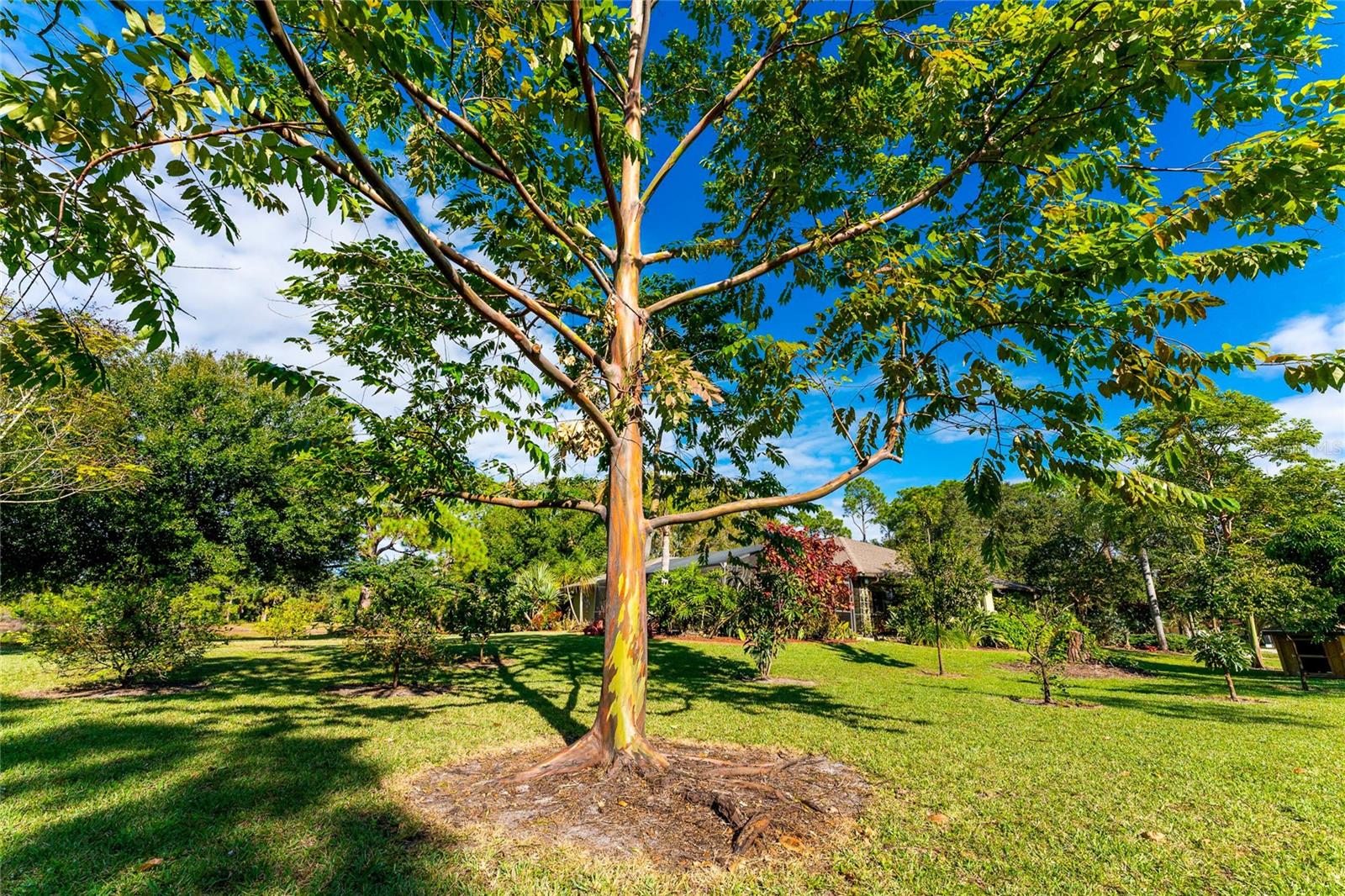 25271 ROLAND LN, PUNTA GORDA, FL, 33955