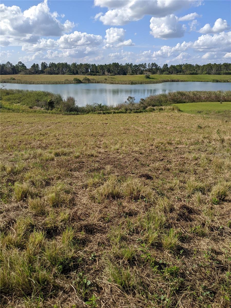 10249 HWY 555, FORT MEADE, FL, 33841