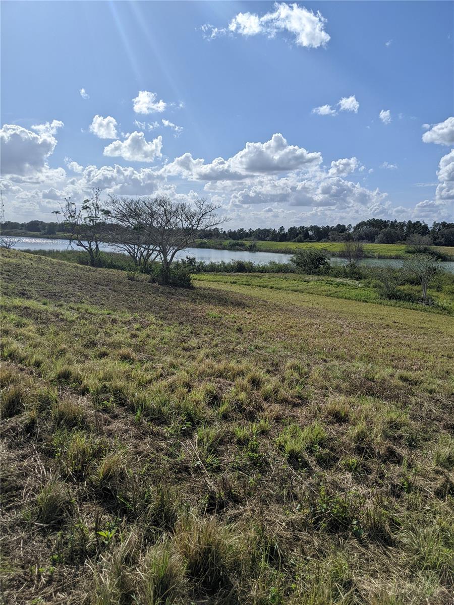 10249 HWY 555, FORT MEADE, FL, 33841