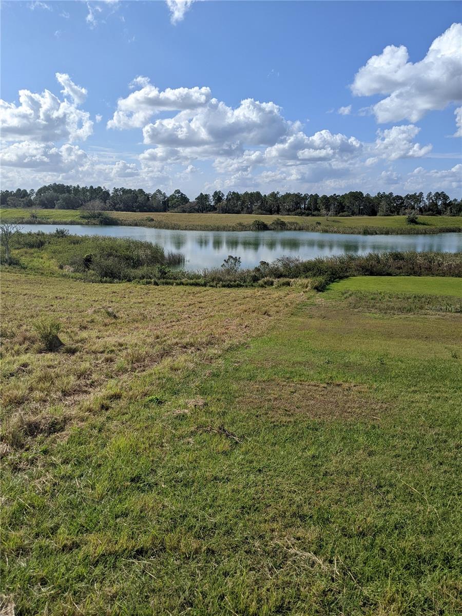 10249 HWY 555, FORT MEADE, FL, 33841