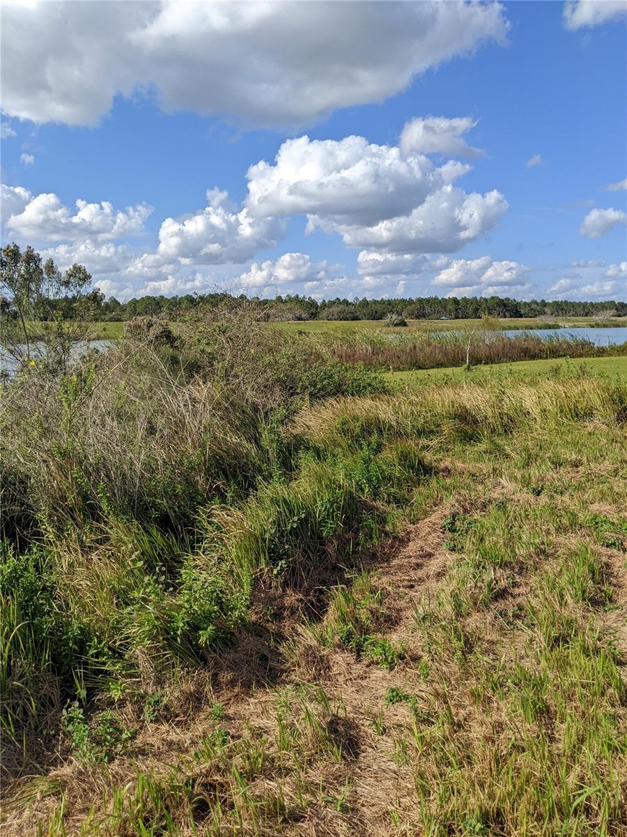 10249 HWY 555, FORT MEADE, FL, 33841