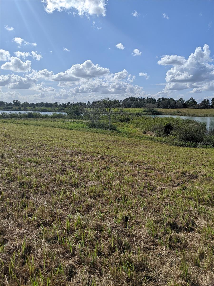 10249 HWY 555, FORT MEADE, FL, 33841