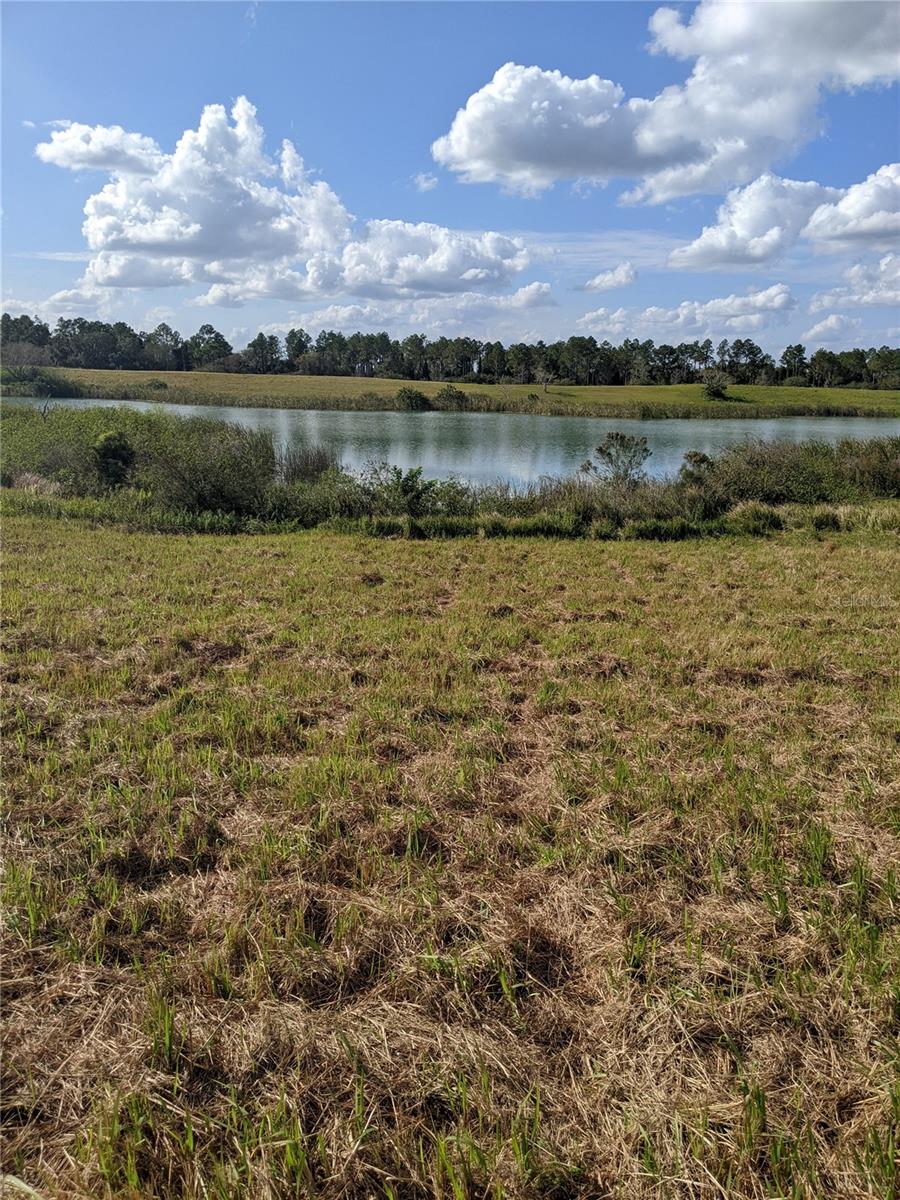 10249 HWY 555, FORT MEADE, FL, 33841