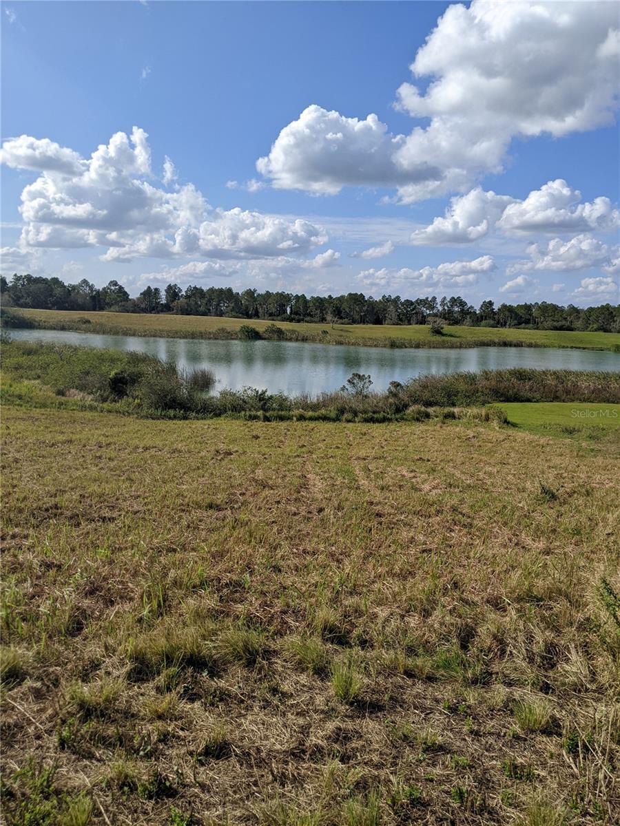 10249 HWY 555, FORT MEADE, FL, 33841