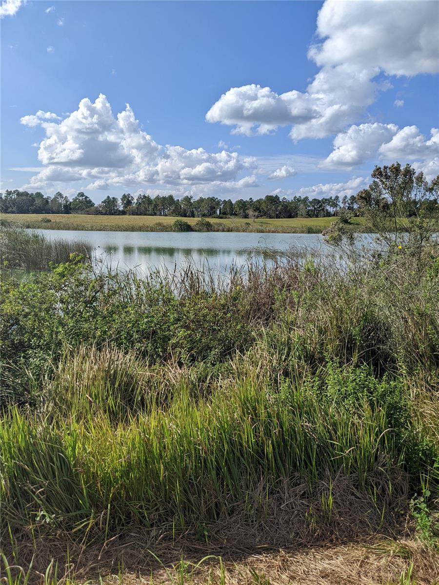10249 HWY 555, FORT MEADE, FL, 33841