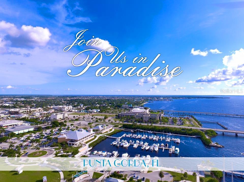 12152 BORAX AVE, PUNTA GORDA, FL, 33955