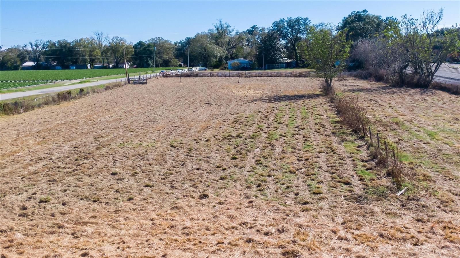 S. FORBES RD, DOVER, FL, 33527