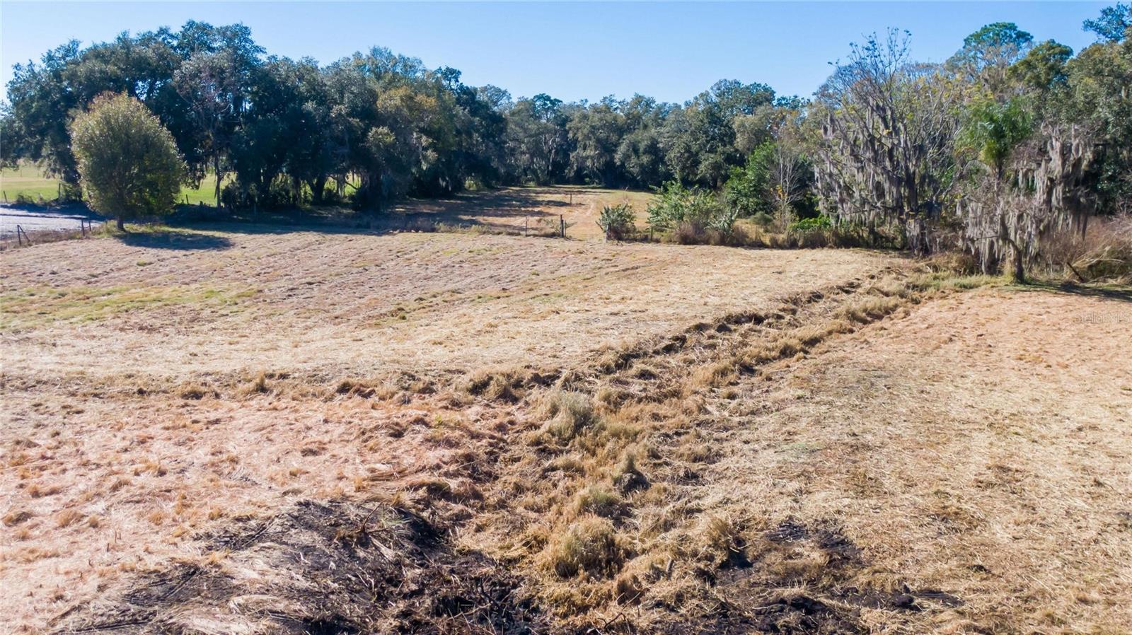 S. FORBES RD, DOVER, FL, 33527