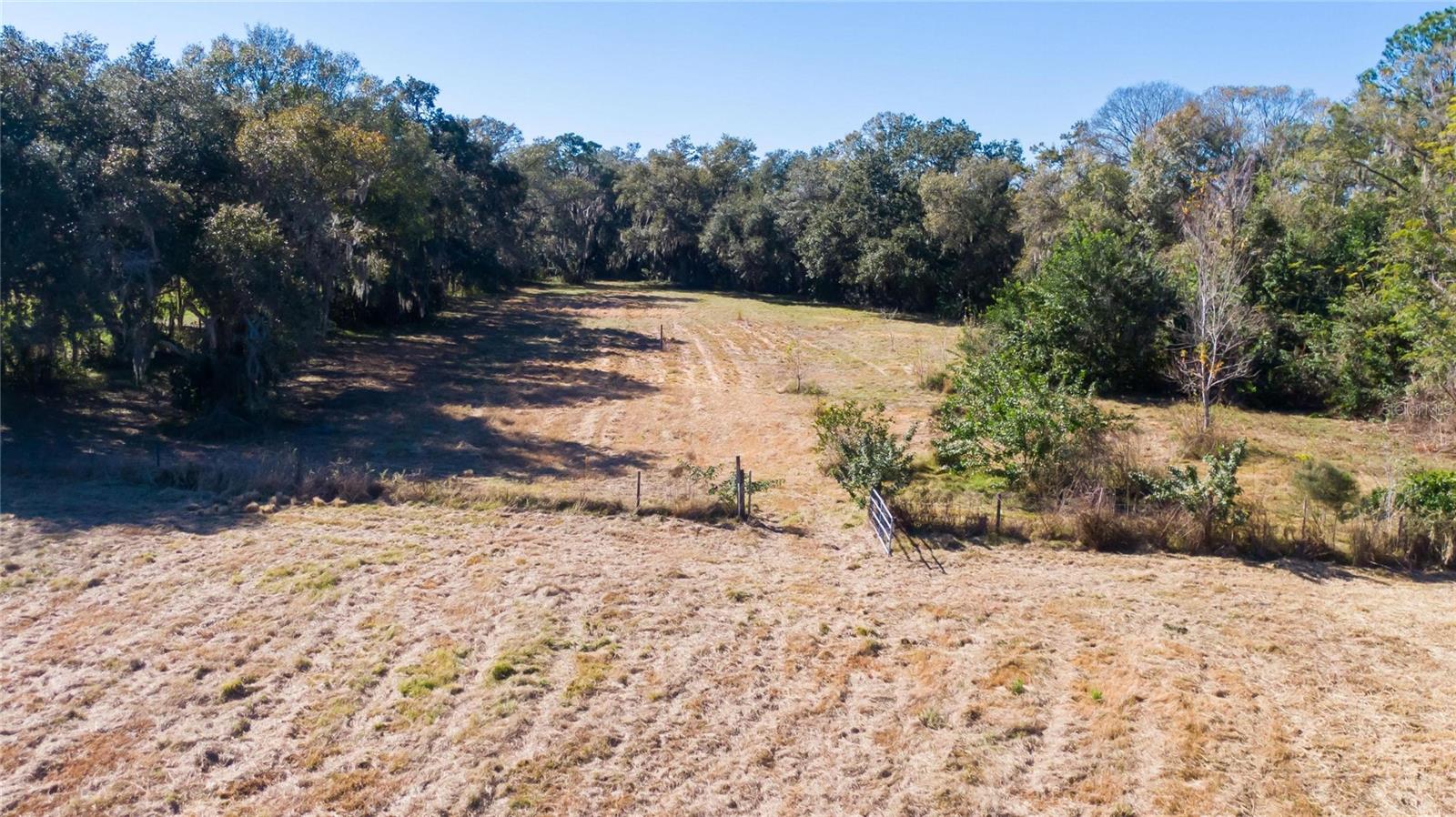 S. FORBES RD, DOVER, FL, 33527