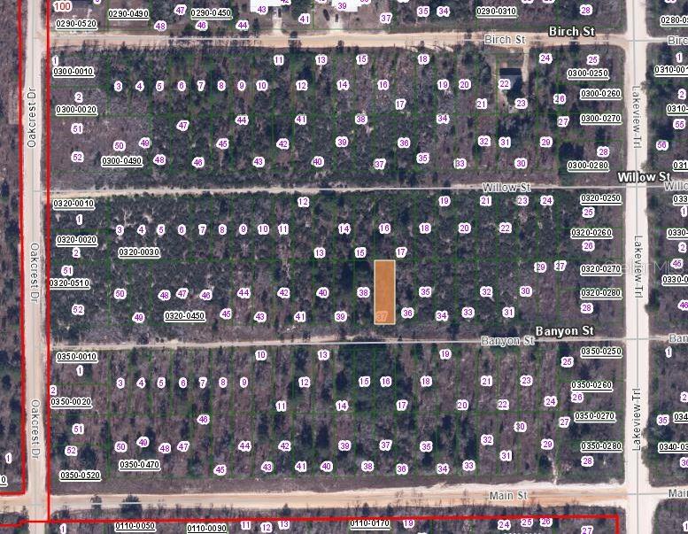 00 BANVON ST, INTERLACHEN, FL, 32148