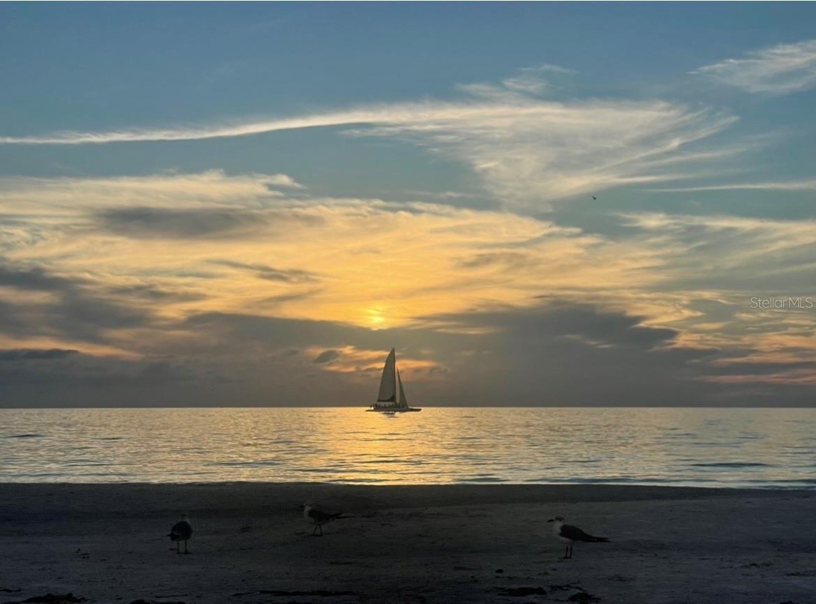 1340 GULF BLVD #20A, CLEARWATER, FL, 33767