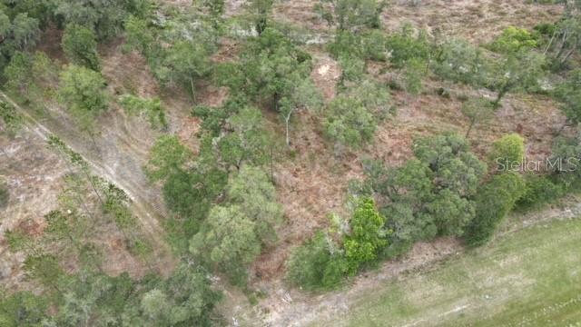 N US HIGHWAY 27, REDDICK, FL, 32686