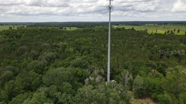 N US HIGHWAY 27, REDDICK, FL, 32686