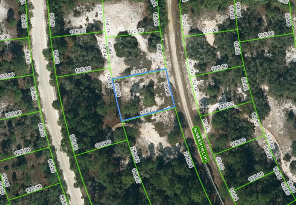 364 SUMMER HILL DR, LAKE PLACID, FL, 33852