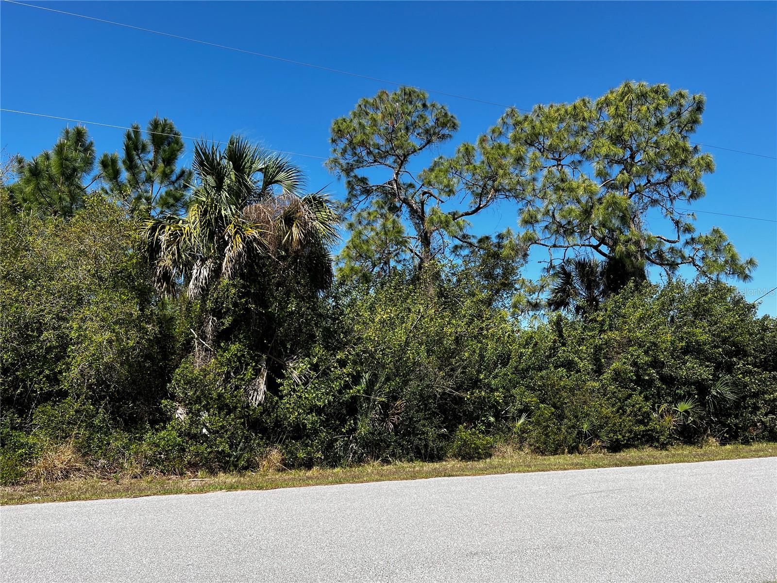 191 RAMBLEWOOD ST, PORT CHARLOTTE, FL, 33953