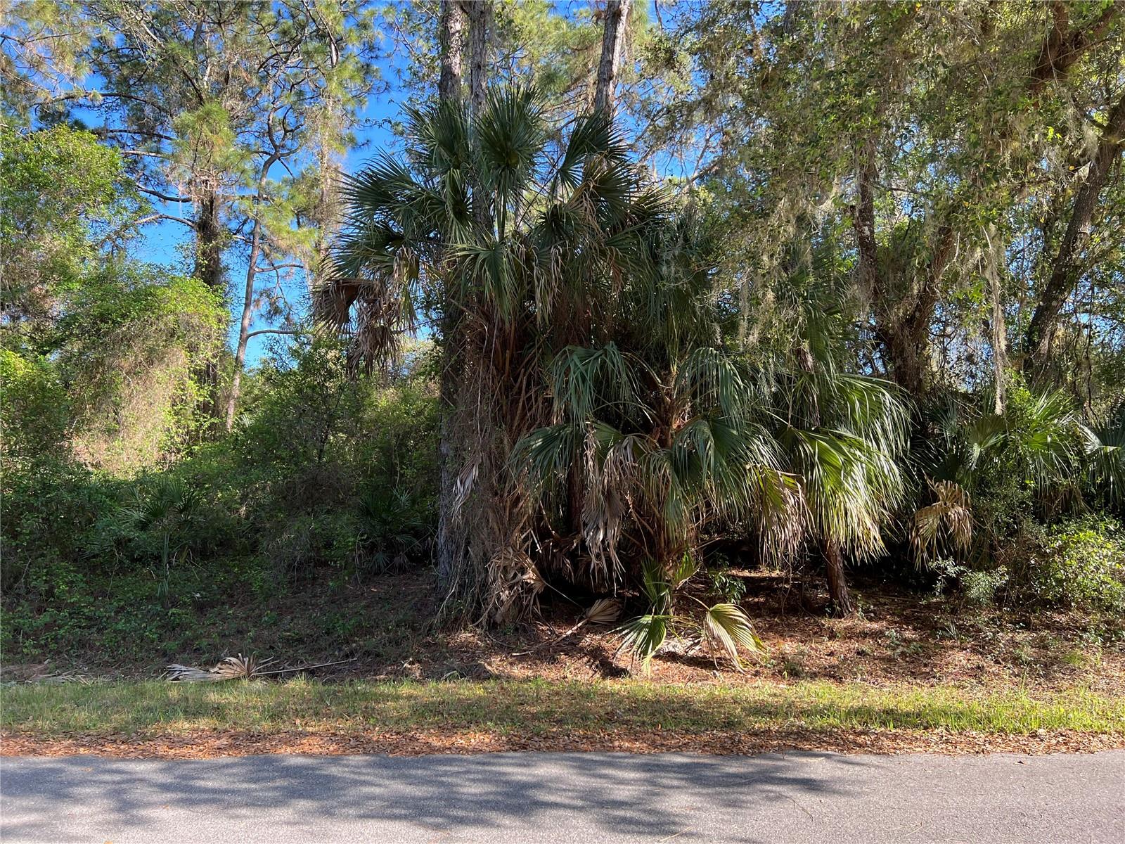 BABROFF TER, NORTH PORT, FL, 34291