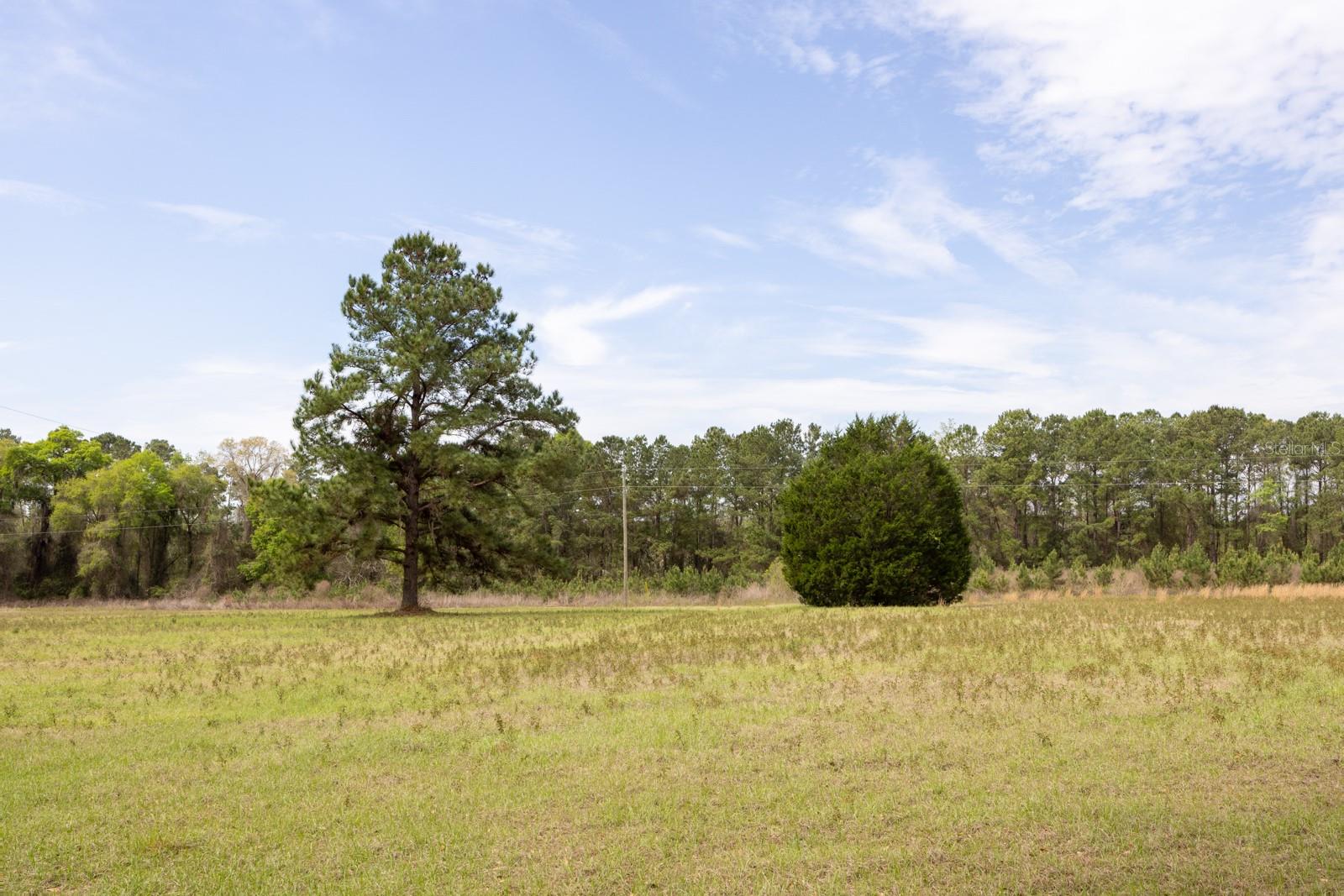 18604 NW 262ND AVE, ALACHUA, FL, 32615
